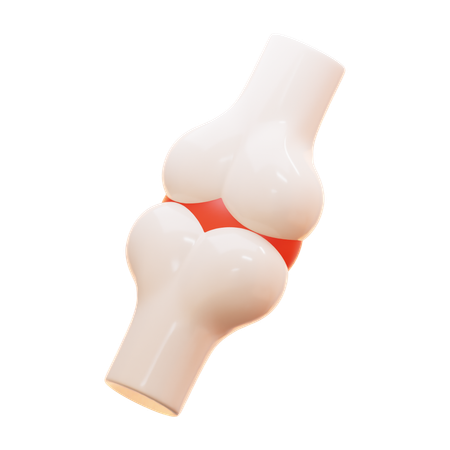 Bone Joint  3D Icon