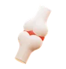 Bone Joint