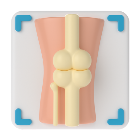 Bone X-ray  3D Icon