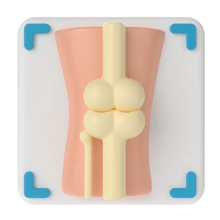 Bone X-ray  3D Icon