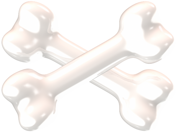 Bones  3D Icon