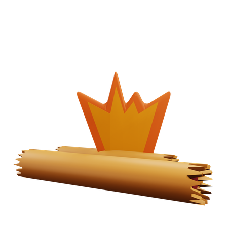 Bonfire  3D Icon