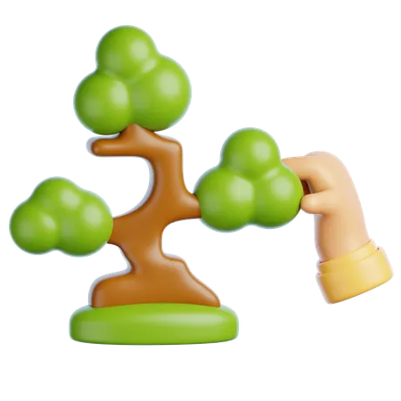 Bonsai  3D Icon