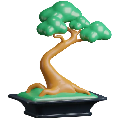 Bonsai  3D Icon
