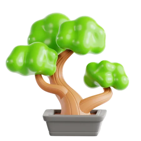 Bonsai  3D Icon