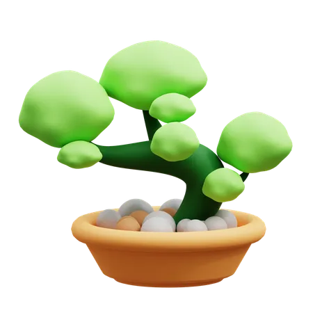 Bonsai  3D Icon