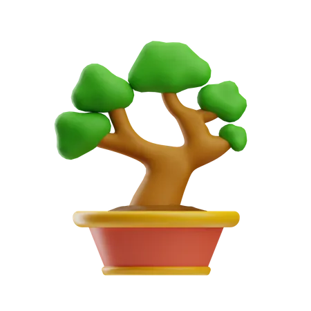 Bonsai  3D Icon