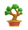 Bonsai