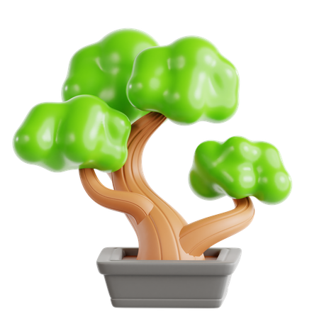Bonsai  3D Icon