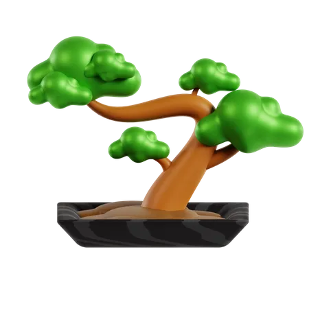 Un bonsai  3D Icon