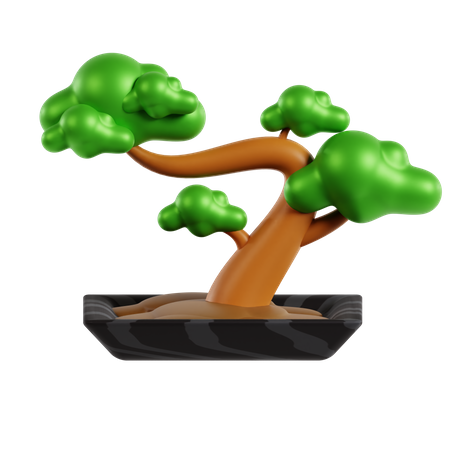 Árbol bonsai  3D Icon