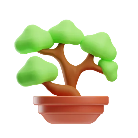 Bonsai Pflanze  3D Icon