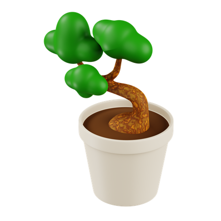 Bonsai Plant  3D Icon