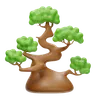 Bonsai Plant