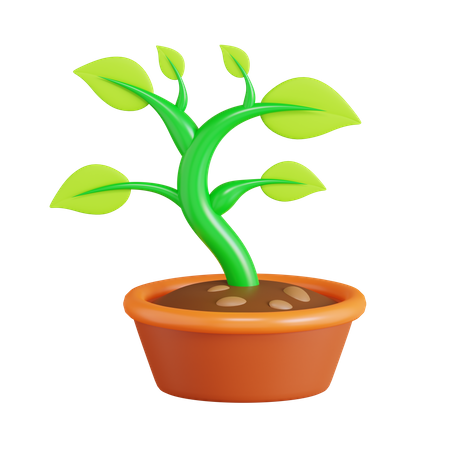 Bonsai Plant  3D Icon