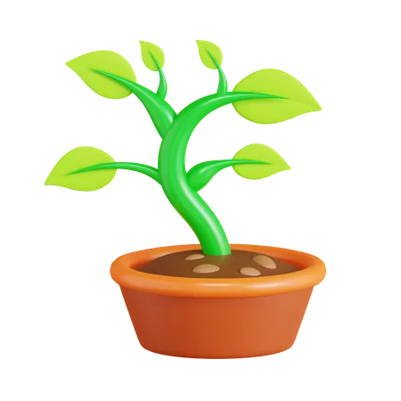 Bonsai Plant  3D Icon