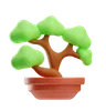 Bonsai Plant