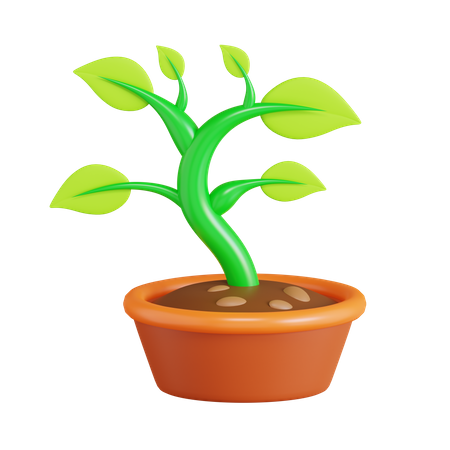 Bonsai Plant 3D Icon