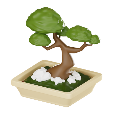 Bonsai Plant Pot  3D Icon
