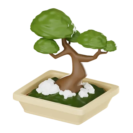 Bonsai Plant Pot  3D Icon