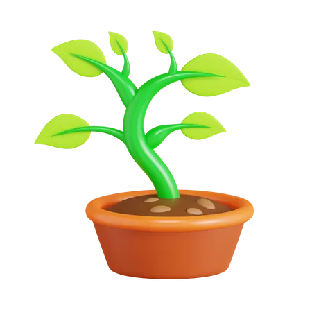 Plante bonsaï  3D Icon
