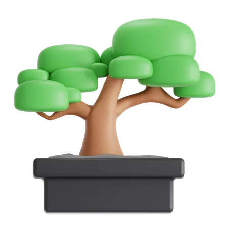 Bonsai Tree Common In Japan 3D Icon