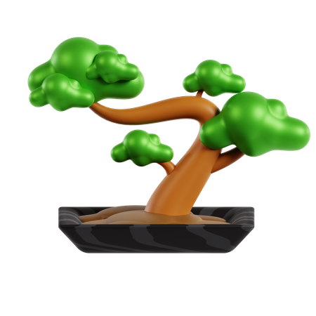 Bonsai Tree  3D Icon