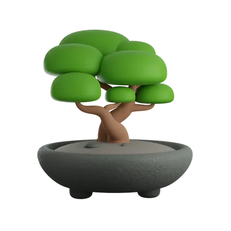 Bonsai Tree  3D Icon