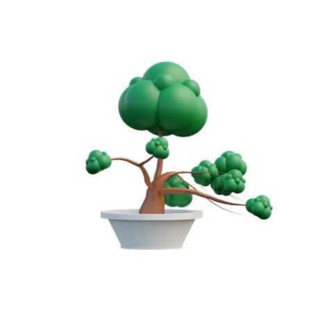 Bonsai Tree  3D Illustration