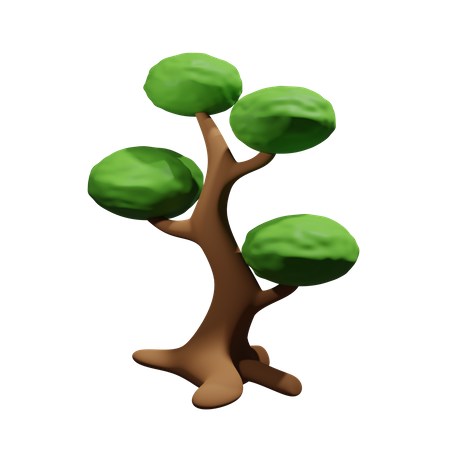 Bonsai Tree  3D Icon