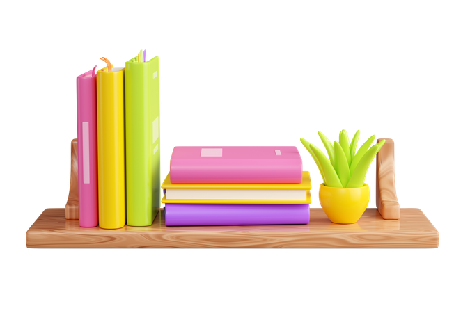 Book Shelf  3D Icon
