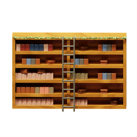 Bookshelf  3D Icon