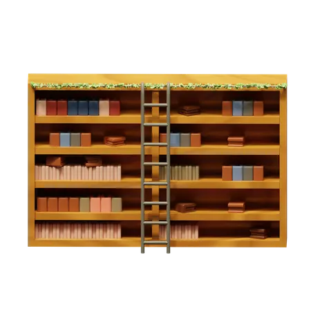 Bookshelf  3D Icon