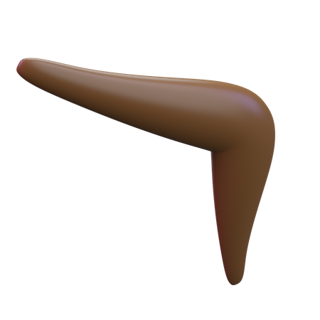 Boomerang  3D Icon