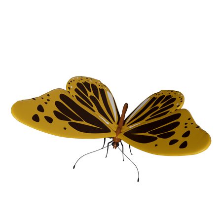 Borboleta  3D Icon