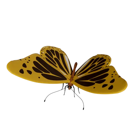 Borboleta  3D Icon