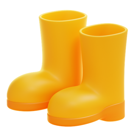 Bota  3D Icon
