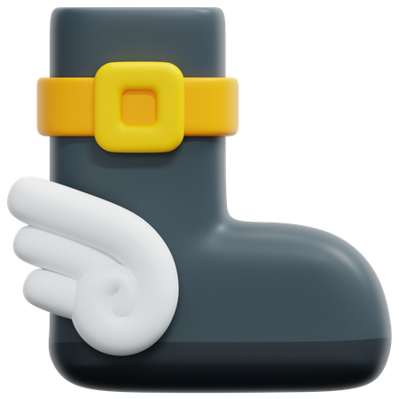 Bota  3D Icon