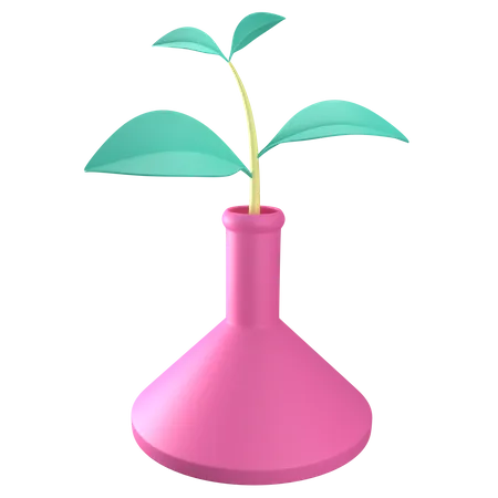 Botanik-Experiment  3D Icon