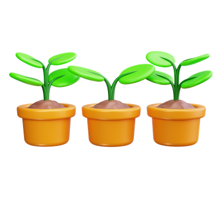 Botanisch  3D Icon