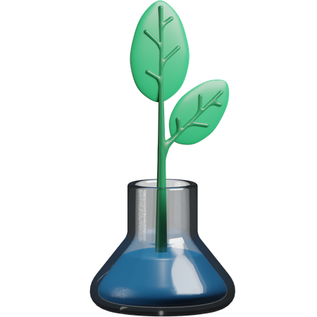 Botany  3D Icon