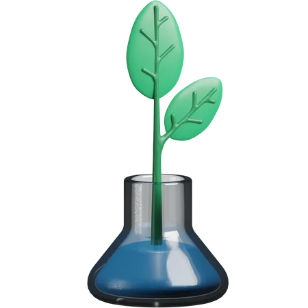 Botany  3D Icon