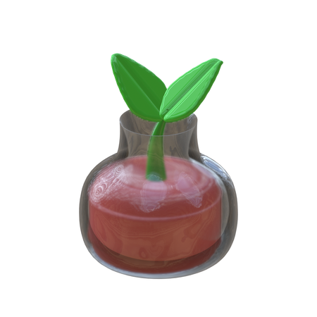 Botany  3D Icon