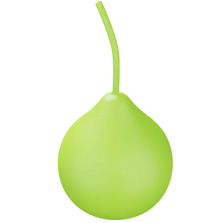 Bottle Gourd Round  3D Icon