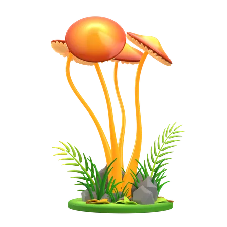 Boule Champignon Orange  3D Icon