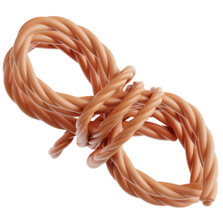 Bound Rope  3D Icon