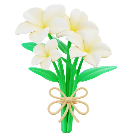 Bouquet de frangipanier  3D Icon