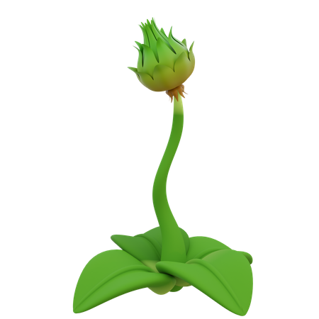 Bourgeons de fleurs  3D Icon