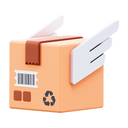 Box Wings  3D Icon