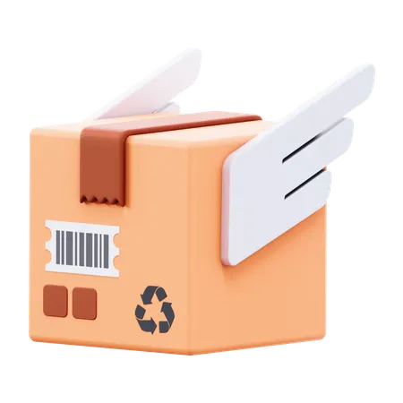 Box Wings  3D Icon